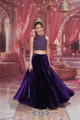 The Royal gem Lehenga Set