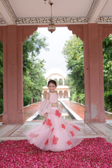 Pushp Lehenga Set