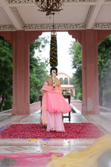 Raagini Tunic Set