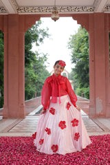 Aruna Lehenga Set