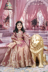 Rajkumari Lehenga Set