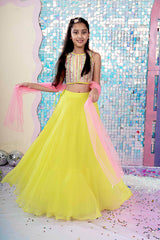 Pixie Dust Lehenga Set