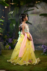 Udaipur Lehenga Set