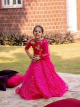 Gulnaar Lehenga Set