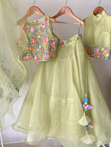 Phool Lehenga with Organza Skirt