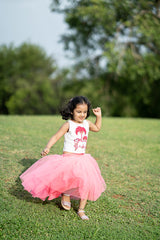 Braj Skirt Set