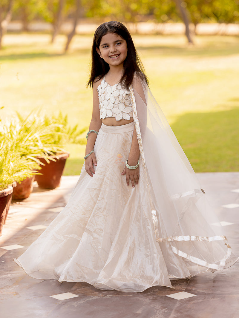 Chandni Lehenga Set