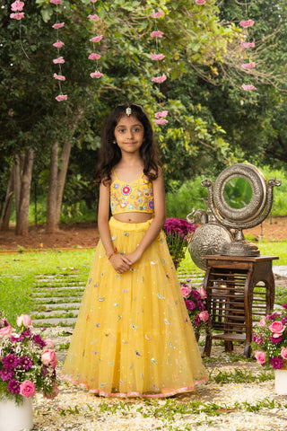 Panchhi Bagh lehenga set