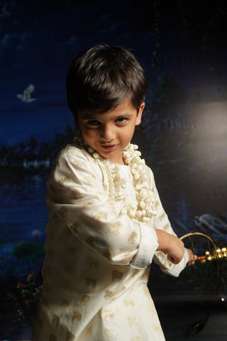 Kamdhenu Kurta set