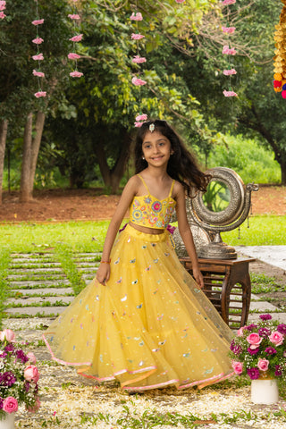 Panchhi Bagh lehenga set