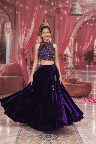The Royal gem Lehenga Set