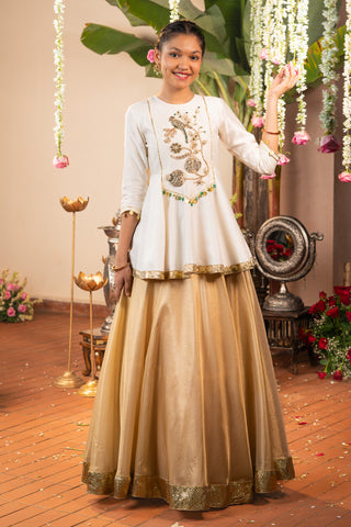 Swarna Bagh lehenga set