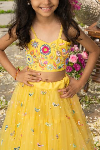 Panchhi Bagh lehenga set