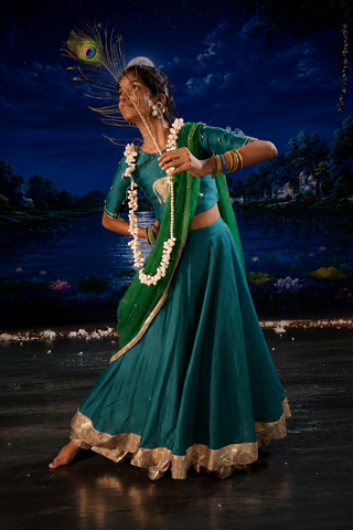 Pichwai Lehenga set
