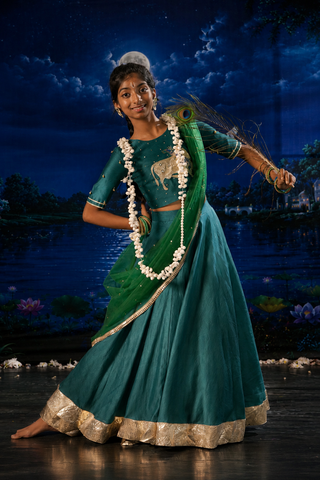 Pichwai Lehenga set