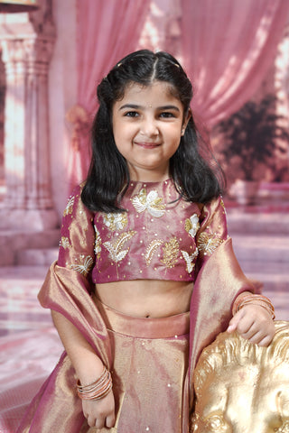 Rajkumari Lehenga Set