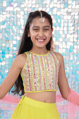 Pixie Dust Lehenga Set