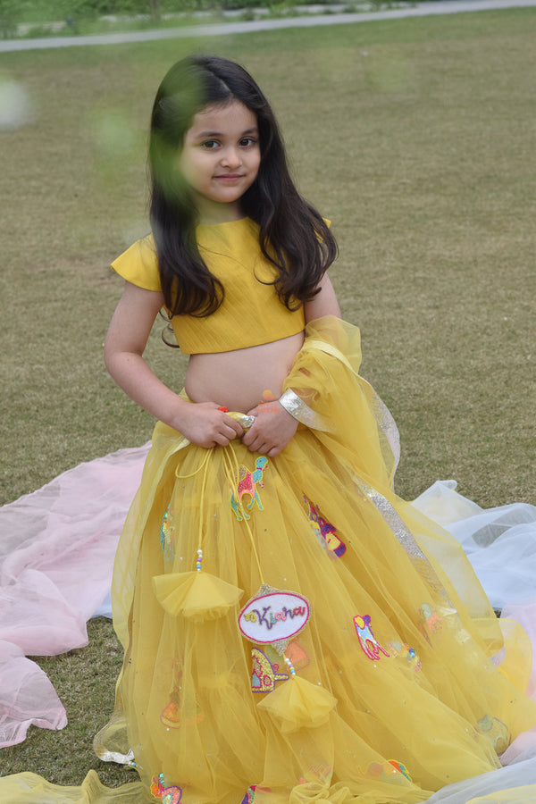 Incredible Rajasthan Lehenga