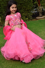 Spring Me Up Lehenga