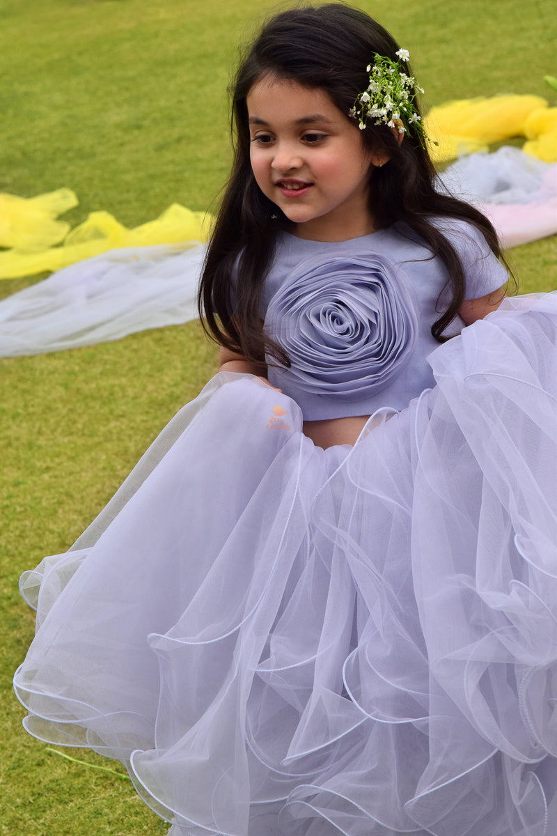 Floating Swan Lehenga