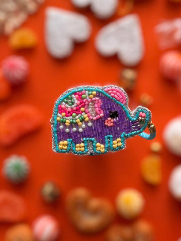 Pyara Haathi Rakhi