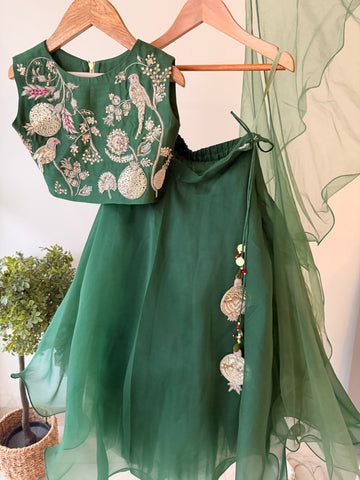 Anaar Bagh Lehenga with Organza Skirt