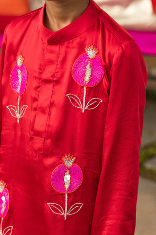Ek Anaar kurta set