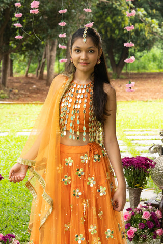 Ek Phool lehenga set