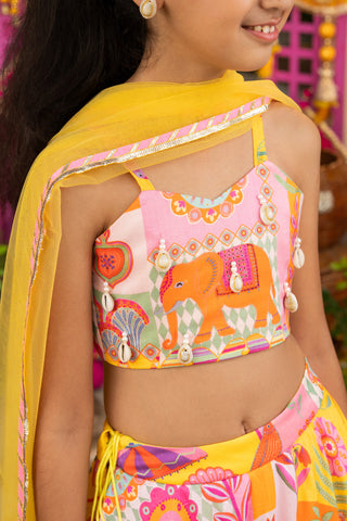 Tyohaar Bagh lehenga set