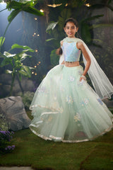 Silver Fern Lehenga Set