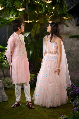 Stardust Lehenga Set