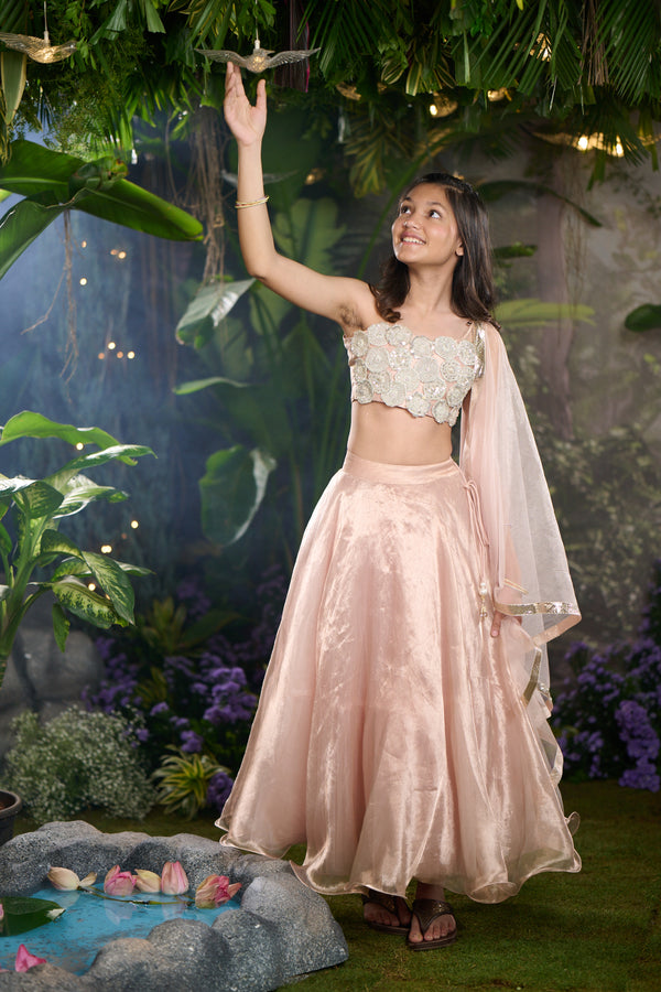 Fairy Dust Lehenga Set